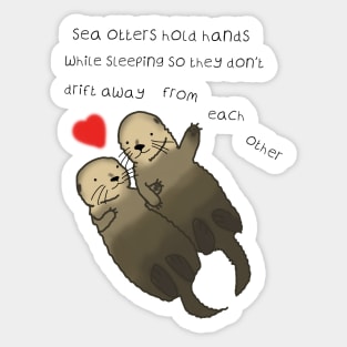 Sea Otters hold hands, love, valentines day Sticker